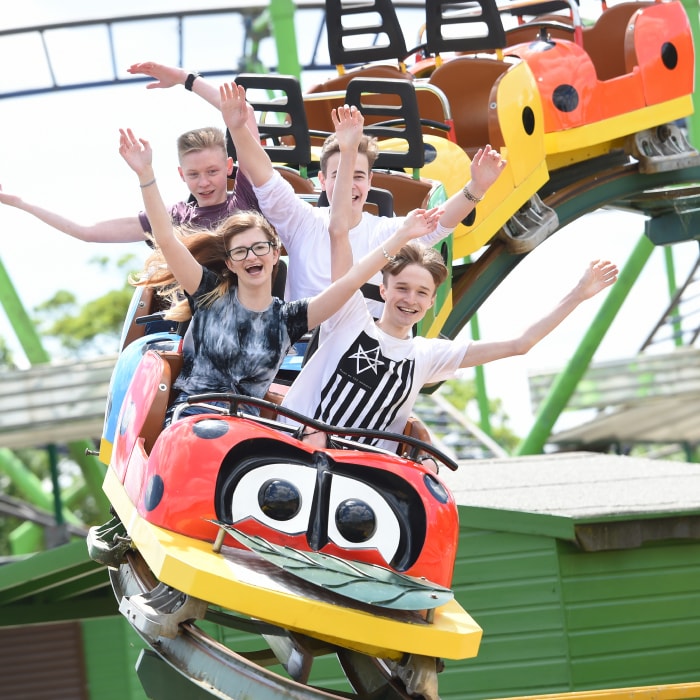 Ladybird Coaster Wicksteed Park