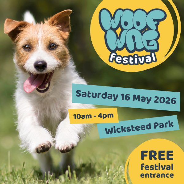 Woof Wag Festival