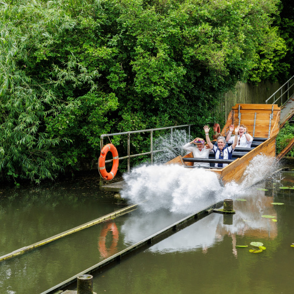 celebrating 100 years of the water chute